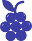 purple-grapes-icon (1)